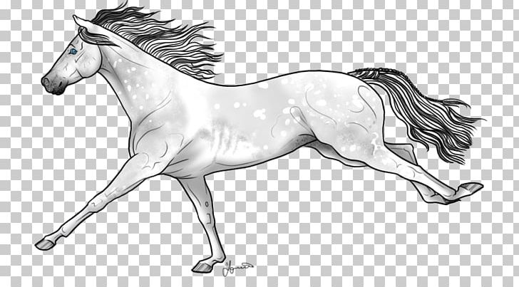 Mustang Stallion Mane Foal Colt PNG, Clipart, Chicken, Colt, Drawing, Fictional Character, Foal Free PNG Download