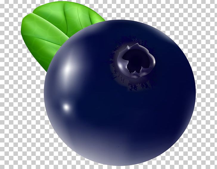 Blueberry PNG, Clipart, Art, Ball, Berry, Blueberry, Clip Free PNG Download