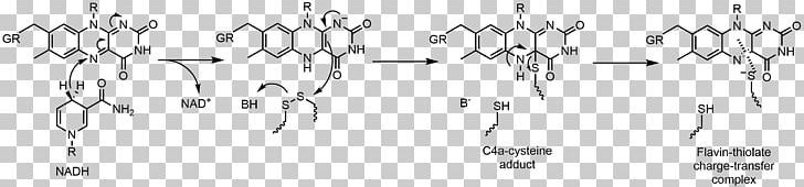 Flavin Group Flavin Adenine Dinucleotide Glutathione Reductase Flavin Reductase Redox PNG, Clipart, Angle, Black And White, Calligraphy, Chemical Reaction, Chemistry Free PNG Download