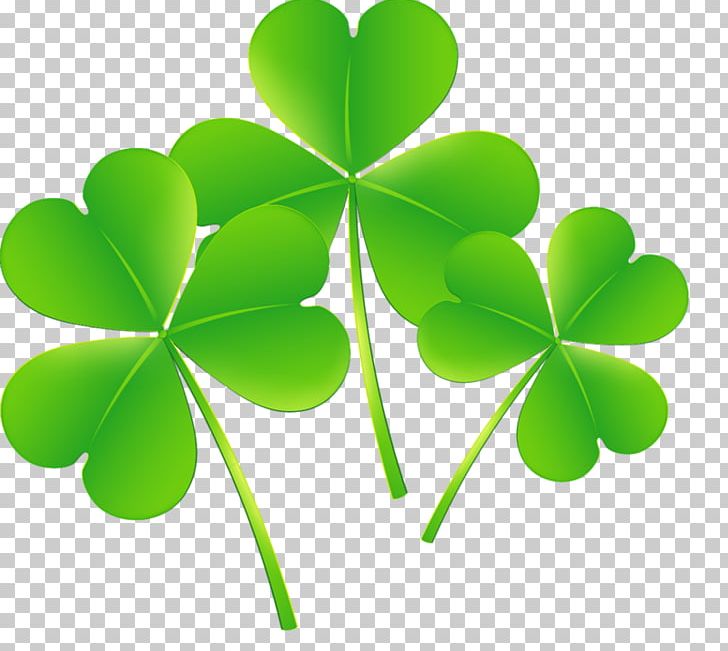 Shamrock Saint Patrick's Day Festival White Clover PNG, Clipart,  Free PNG Download