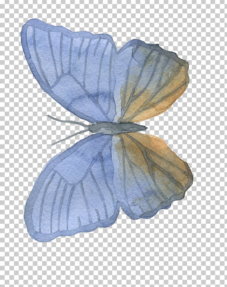 Butterfly Moth Petal PNG, Clipart, Blue, Blue Butterfly, Bombycidae, Butterflies, Butterfly Free PNG Download