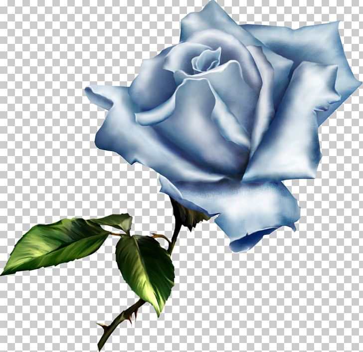 Rose Flower PNG, Clipart, Blue, Blue Rose, Clip Art, Computer Wallpaper, Cut Flowers Free PNG Download