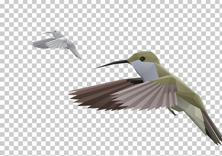 Crane Paper Origami PNG, Clipart, Animals, Beak, Bird, Bird, Bird Cage Free PNG Download