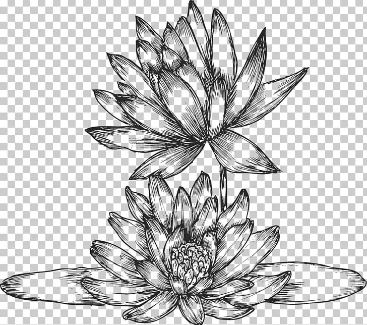 Drawing Sketch PNG, Clipart, Art, Artwork, Black And White, Body Jewelry, Cut Flowers Free PNG Download