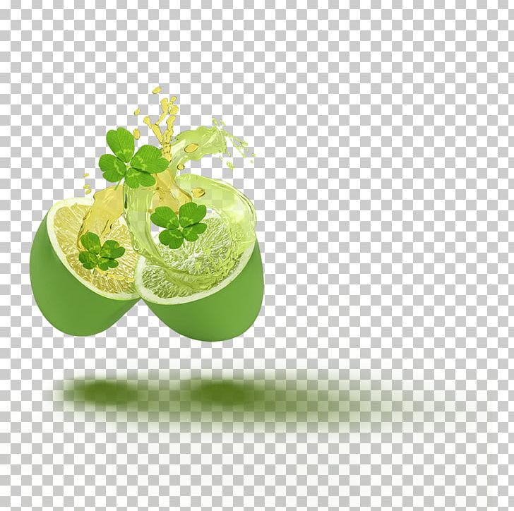 Lime Flavor The Jelly Belly Candy Company Bean PNG, Clipart, Bean, Flavor, Fruit Nut, Gourmet, Grapefruit Free PNG Download