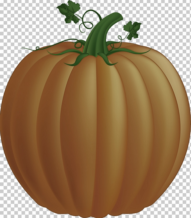 Squash Winter Squash Gourd Calabaza Natural Food PNG, Clipart, Calabaza, Commodity, Fruit, Gourd, Natural Food Free PNG Download
