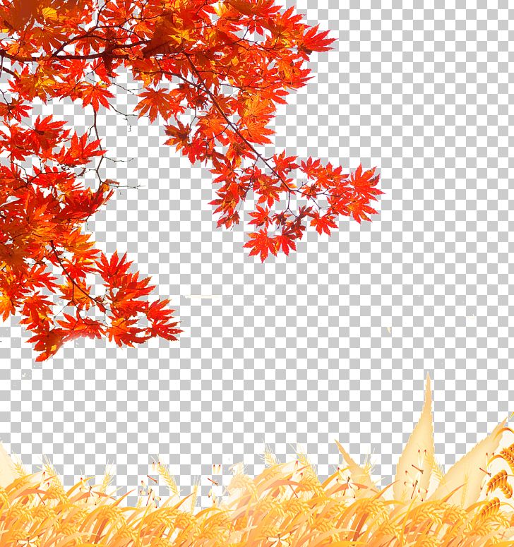 Creative Autumn PNG, Clipart, Autumn, Branch, Computer Icons, Computer Software, Creative Free PNG Download