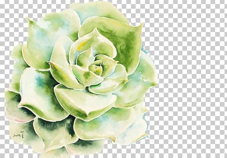 Drawing Succulent Plant Watercolor Painting PNG, Clipart, Anime, Croquis, Cut Flowers, Drawing, Floral Design Free PNG Download