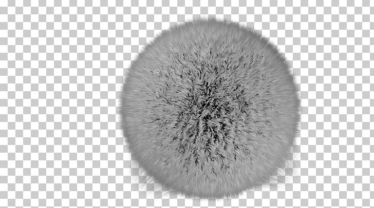 Brush Fur PNG, Clipart, Animation, Black And White, Brush, Fur, Hardware Free PNG Download