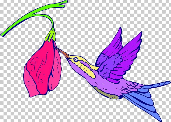 Hummingbird PNG, Clipart, Beak, Bird, Drawing, Feather, Fictional Character Free PNG Download
