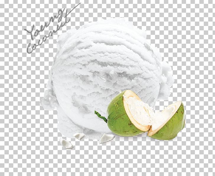 Ice Cream Coconut Milk Flavor PNG, Clipart, Coconut, Coconut Milk, Cream, Durian, Flavor Free PNG Download