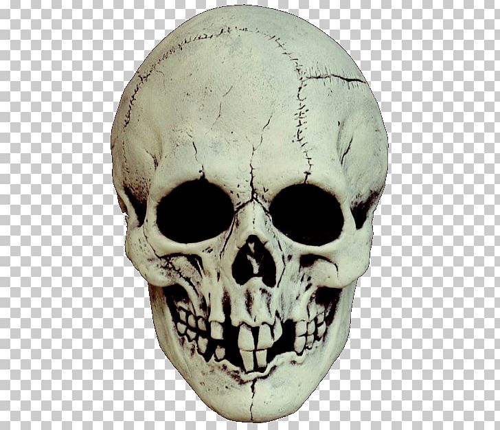 Skull Mask Costume Party Skeleton PNG, Clipart, Adult, Balaclava, Bone, Cosplay, Costume Free PNG Download