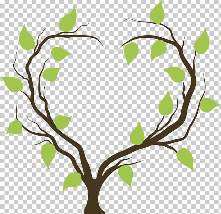 Tree Heart Branch PNG, Clipart, Artwork, Branch, Clip Art, Evergreen, Flora Free PNG Download