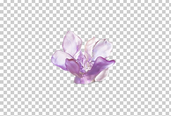 Violet Daum Garden Pink Red PNG, Clipart, Amethyst, Art, Blue, Body Jewelry, Daum Free PNG Download