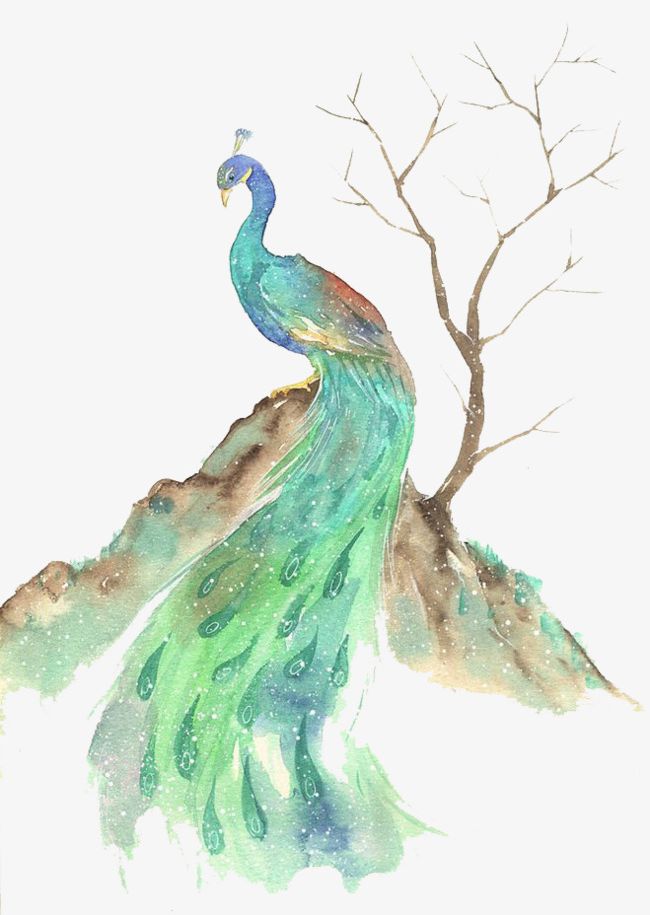 Watercolor Peacock PNG, Clipart, Animal, Autumn, Blue, Cartoon, Decorate Free PNG Download