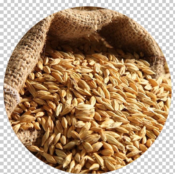 Barley Water Scotch Whisky Food Bread PNG, Clipart, Avena, Barley, Barley Water, Bread, Cereal Free PNG Download