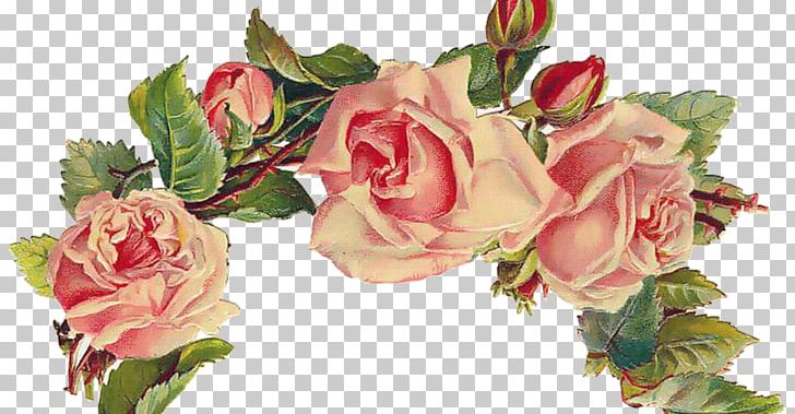 Post Cards Vintage Clothing Rose Greeting & Note Cards PNG, Clipart, Artificial Flower, Collage, Cut Flowers, Decoupage, Floristry Free PNG Download