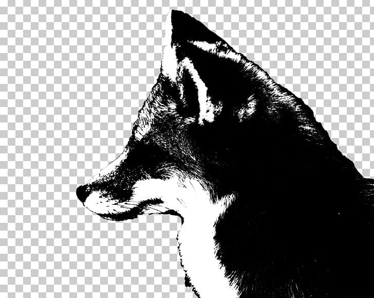 Whiskers Red Fox Dog Cat Snout PNG, Clipart, Animals, Black And White, Carnivoran, Cat, Cat Like Mammal Free PNG Download