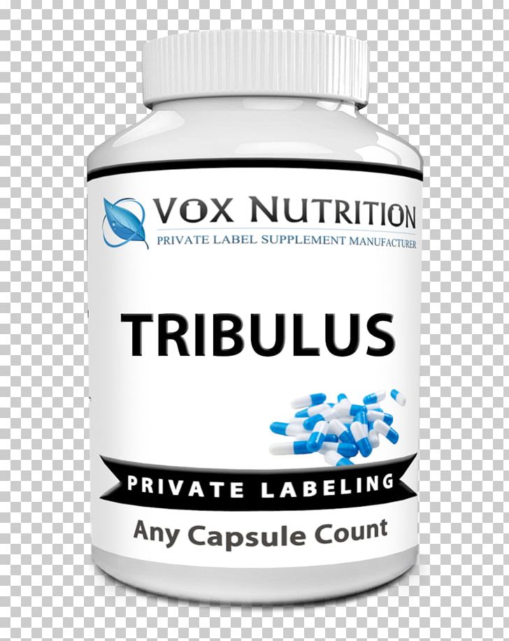 Dietary Supplement Multivitamin Health Plectranthus Barbatus PNG, Clipart, Brand, Diet, Dietary Supplement, Dose, Forskolin Free PNG Download