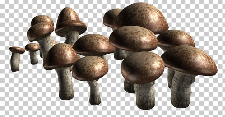 Edible Mushroom Fungus PNG, Clipart, 420, Agaricus, Edible Mushroom, Fungus, Garlic Free PNG Download