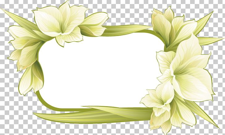 Frame Flower Illustration Png Clipart Border Border Frame Border Vector Certificate Border Christmas Border Free Png