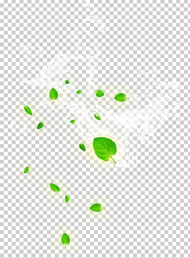 Leaf Area Pattern PNG, Clipart, Cosmetics, Drop, Dynamic, Dynamic Watermark, Dynamic Water Waves Free PNG Download
