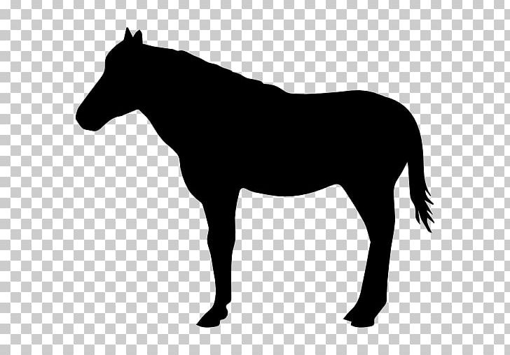 American Quarter Horse Silhouette Drawing PNG, Clipart, Black And White, Bridle, Colt, Depositphotos, Drawing Free PNG Download