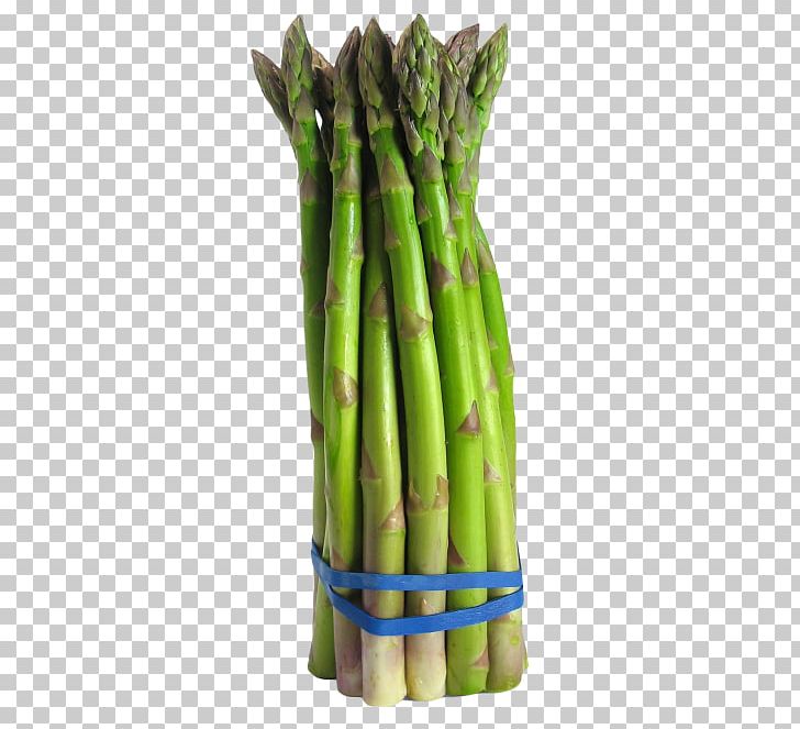 Asparagus Vegetable Broccoli Food Crop Yield PNG, Clipart, Asparagus, Bamboo Shoot, Broccoli, Commodity, Cooking Free PNG Download