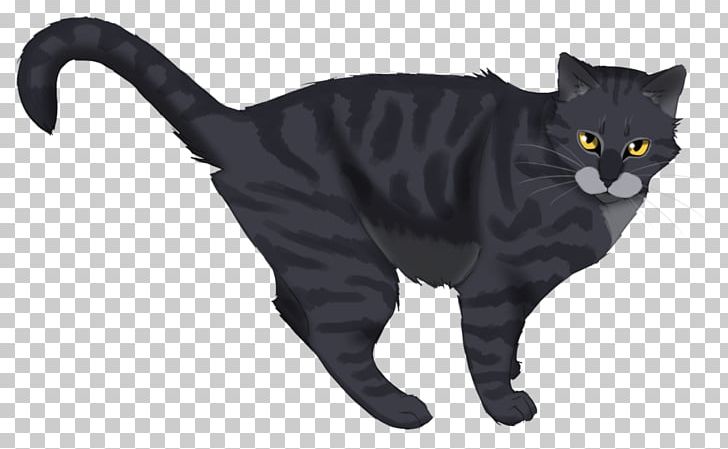 Black Cat Chartreux Korat American Wirehair Warriors PNG, Clipart, Adderfang, American Wirehair, Animal Figure, Asian, Black Free PNG Download