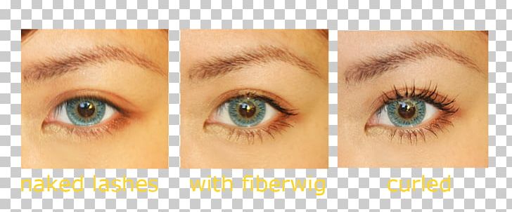 Eyelash Extensions Eye Liner Mascara Brown PNG, Clipart, Artificial Hair Integrations, Brown, Cheek, Closeup, Closeup Free PNG Download