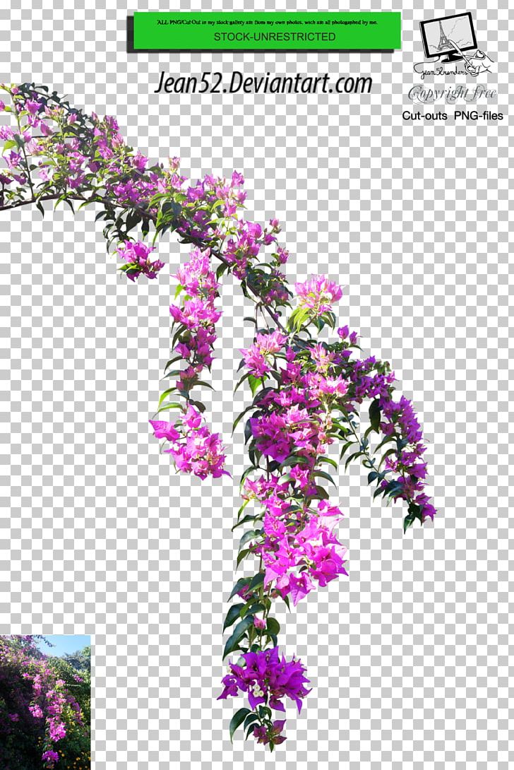 Flower Plant Floral Design PNG, Clipart, Art, Branch, Branching, Deviantart, Flora Free PNG Download