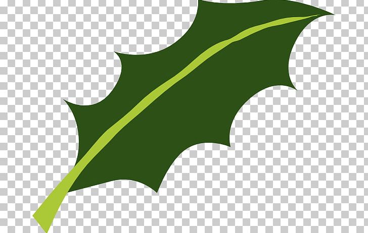 Holly Leaf Miner Plant Stem Common Holly PNG, Clipart, Aquifoliaceae, Aquifoliales, Autumn Leaf Color, Common Holly, Flora Free PNG Download