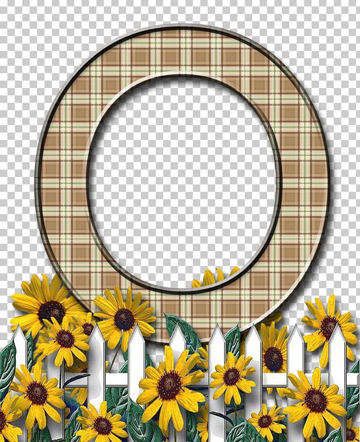 Letter Case Alphabet PNG, Clipart, Alphabet, Circle, Common Sunflower, Daisy, Daisy Family Free PNG Download