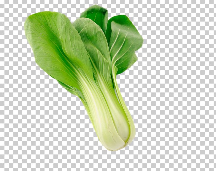 Napa Cabbage Organic Food Vegetable Bok Choy PNG, Clipart, Brassica Oleracea, Cabbage, Cabbage Leaves, Cabbage Roses, Cartoon Cabbage Free PNG Download