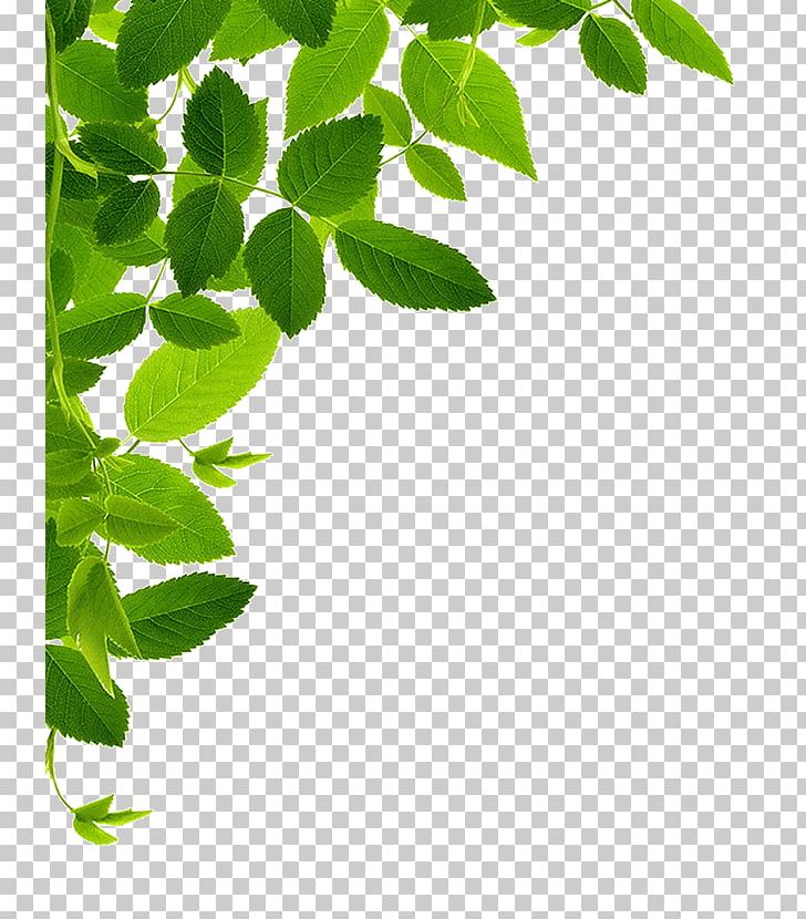 Stock Photography Let's Go Green Food Business PNG, Clipart, Business, Go Green, Green Food, Inc, Stock Photography Free PNG Download