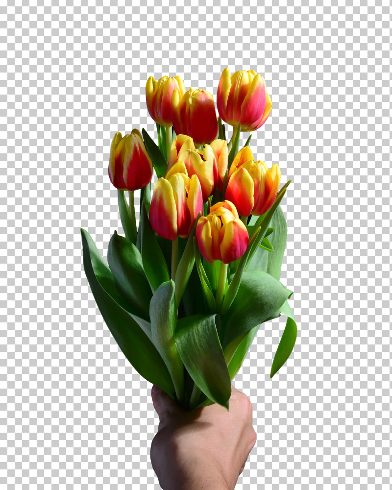 Floral Design PNG, Clipart, Artificial Flower, Biology, Bud, Cut Flowers, Floral Design Free PNG Download