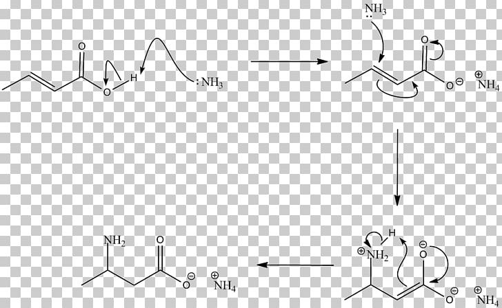 Carboxylic Acid Amine Chemical Reaction Amide PNG, Clipart, Acid, Amide, Amine, Angle, Area Free PNG Download