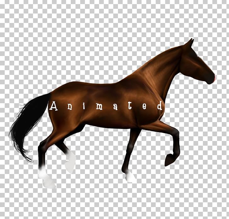 Horse Stallion Equestrian Jumping PNG, Clipart, Animals, Animation, Bridle, Canter And Gallop, Collection Free PNG Download