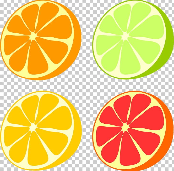 Lemon Grapefruit Orange Pomelo PNG, Clipart, Circle, Citric Acid, Citrus, Clip Art, Flowering Plant Free PNG Download