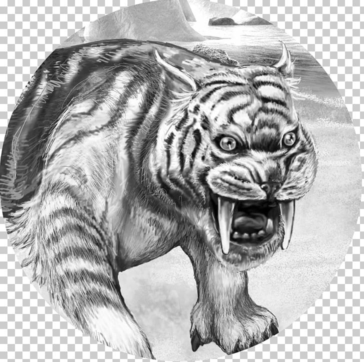 Tiger Big Cat Terrestrial Animal Wildlife PNG, Clipart, Animal, Big Cat, Big Cats, Black And White, Carnivoran Free PNG Download