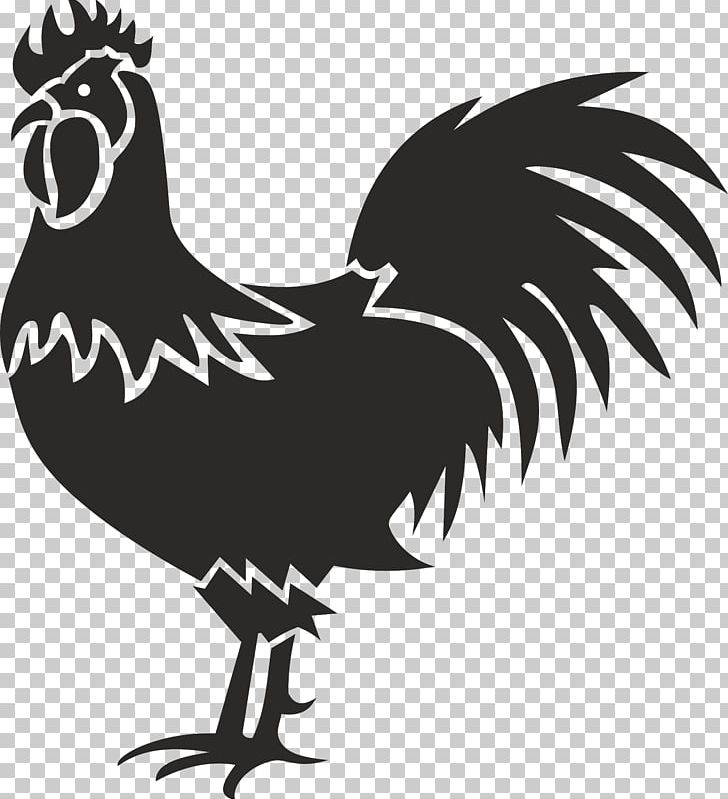 Chicken Rooster PNG, Clipart, Animals, Beak, Bird, Black And White, Chicken Free PNG Download