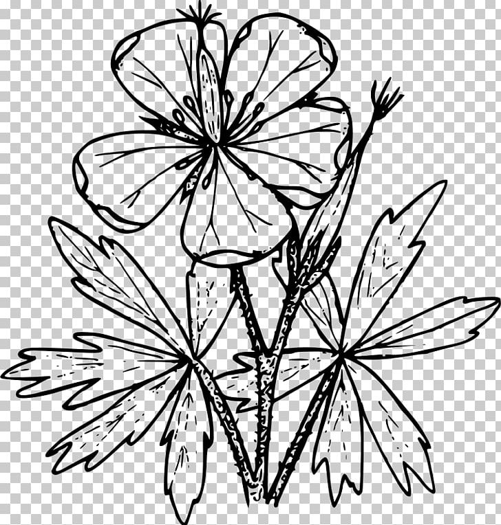 Floral Design Drawing Wildflower PNG, Clipart, Art, Artwork, Black And White, Branch, Coloring Book Free PNG Download