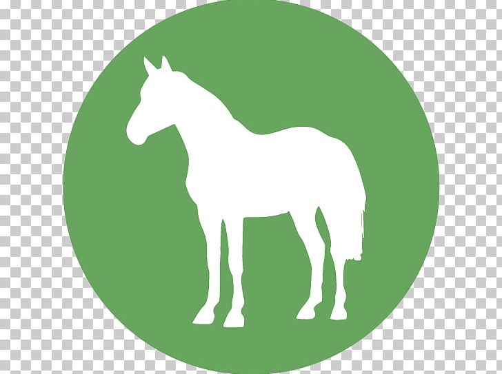 Foal Mustang Stallion Horse Blanket Colt PNG, Clipart, Bridle, Cheval Deau, Colt, Equestrian, Etsy Free PNG Download