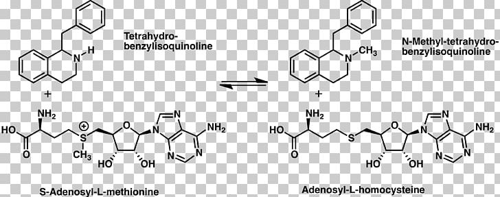 (RS)-1-benzyl-1 PNG, Clipart, Alkaloid, Angle, Auto Part, Benzoyl Group, Chemical Free PNG Download