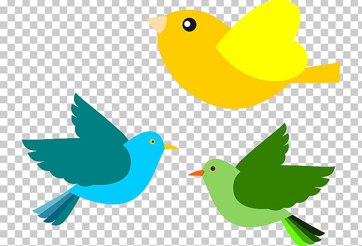 Bird Open Free Content PNG, Clipart, Beak, Bird, Download, Drawing, Fauna Free PNG Download
