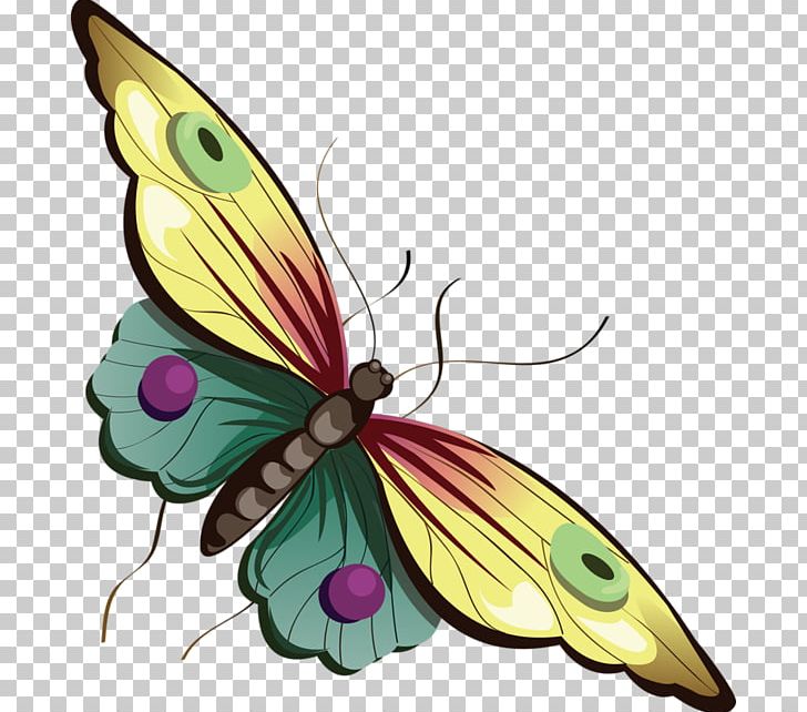 Butterfly Cartoon PNG, Clipart, Animation, Brush Footed Butterfly, Butterfly, Cartoon, Flower Free PNG Download