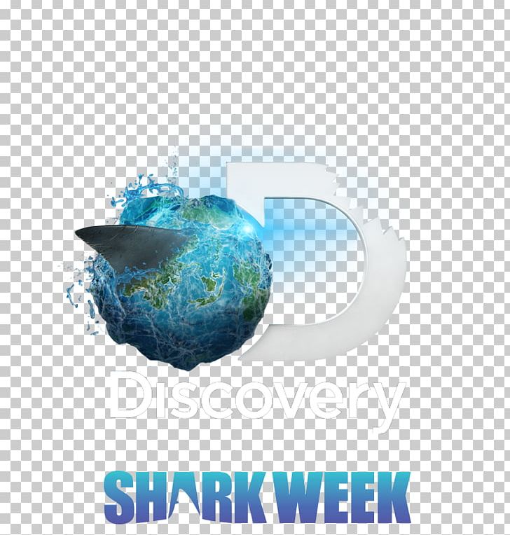 Discovery Channel Shark Logo Lokai PNG, Clipart, Adam Savage, Animals, Aqua, Bizi Prehistoriko, Brand Free PNG Download