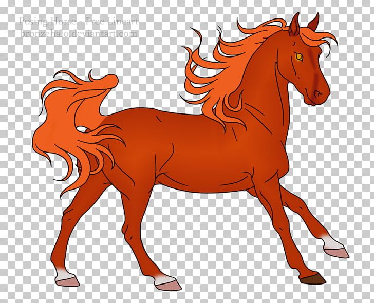 Foal Stallion Mane Mare Colt PNG, Clipart, Bridle, Cartoon, Colt, Fictional Character, Foal Free PNG Download