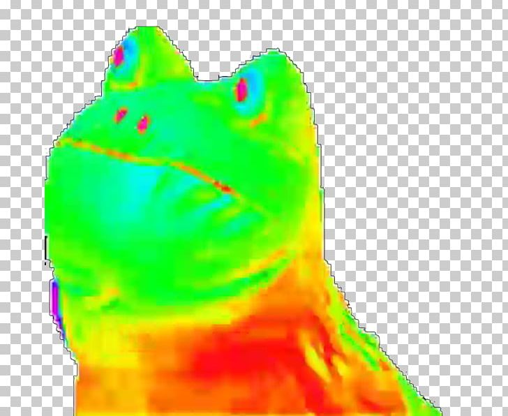 Frog Amphibians YouTube PNG, Clipart, Amphibian, Amphibians, Animals, Attn, Avatar Free PNG Download