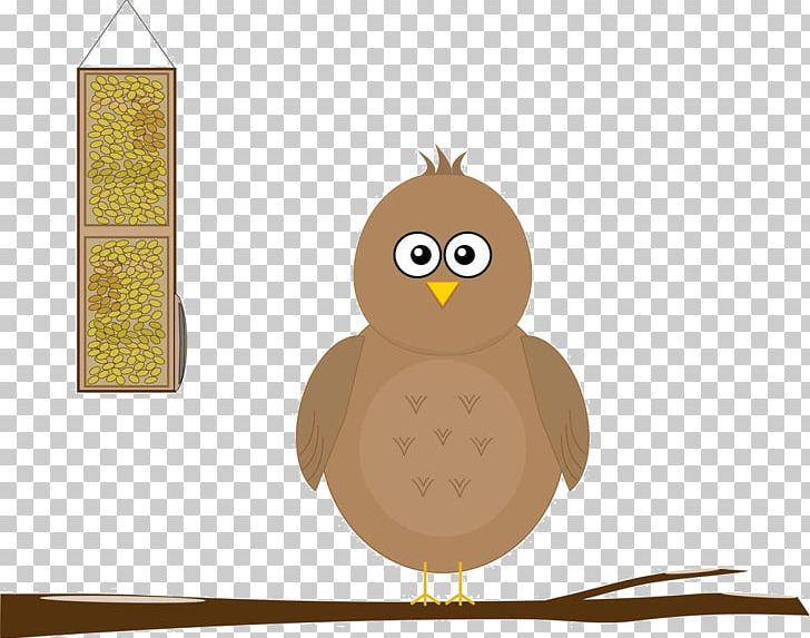 Owl Bird Cartoon Illustration PNG, Clipart, Animals, Balloon Cartoon, Beak, Bird, Bird Of Prey Free PNG Download